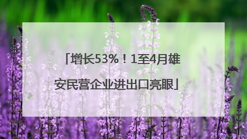 增长53%！1至4月雄安民营企业进出口亮眼