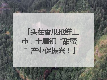 头茬香瓜抢鲜上市，十屋镇“甜蜜”产业促振兴！