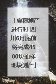 夏粮测产进行时 四川6月底前将完成4500块抽样地块测产