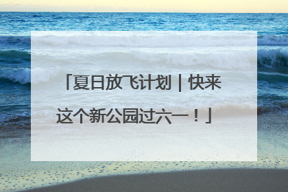 夏日放飞计划｜快来这个新公园过六一！