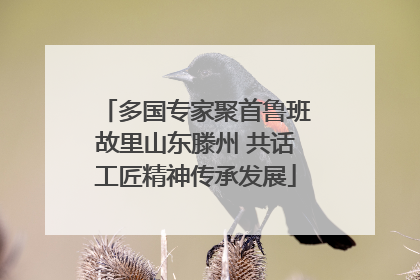 多国专家聚首鲁班故里山东滕州 共话工匠精神传承发展