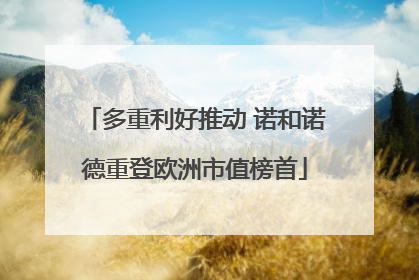 多重利好推动 诺和诺德重登欧洲市值榜首