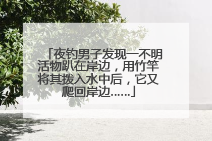 夜钓男子发现一不明活物趴在岸边，用竹竿将其拨入水中后，它又爬回岸边……