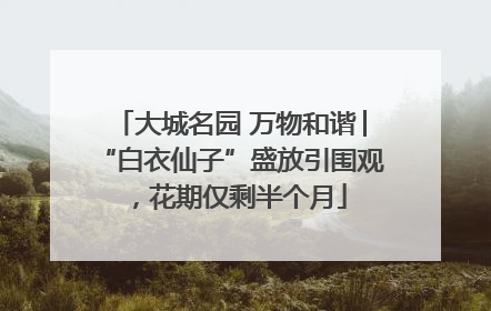 大城名园 万物和谐│“白衣仙子”盛放引围观，花期仅剩半个月