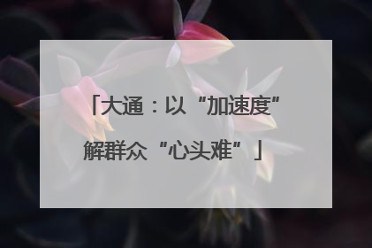 大通：以“加速度”解群众“心头难”