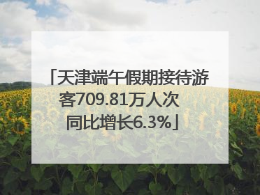 天津端午假期接待游客709.81万人次 同比增长6.3%
