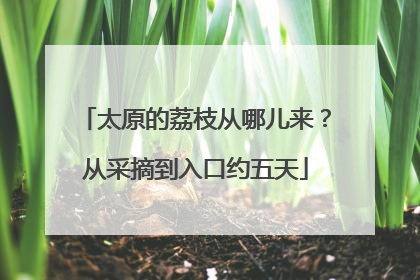 太原的荔枝从哪儿来？从采摘到入口约五天