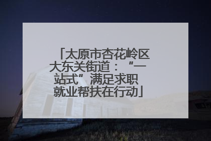 太原市杏花岭区大东关街道：“一站式”满足求职 就业帮扶在行动