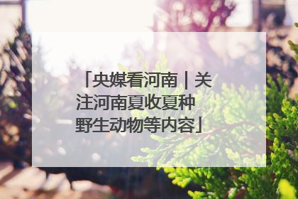 央媒看河南｜关注河南夏收夏种 野生动物等内容