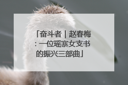 奋斗者｜赵春梅：一位瑶寨女支书的振兴三部曲
