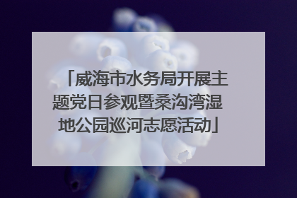 威海市水务局开展主题党日参观暨桑沟湾湿地公园巡河志愿活动