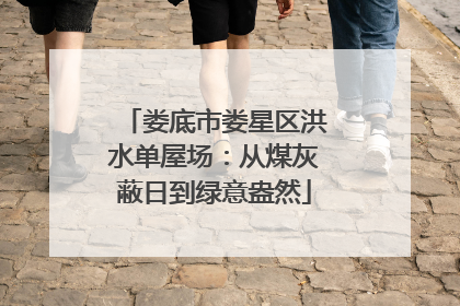 娄底市娄星区洪水单屋场：从煤灰蔽日到绿意盎然