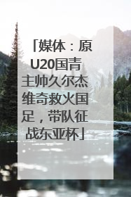 媒体：原U20国青主帅久尔杰维奇救火国足，带队征战东亚杯