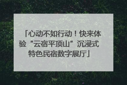 心动不如行动！快来体验“云宿平顶山”沉浸式特色民宿数字展厅