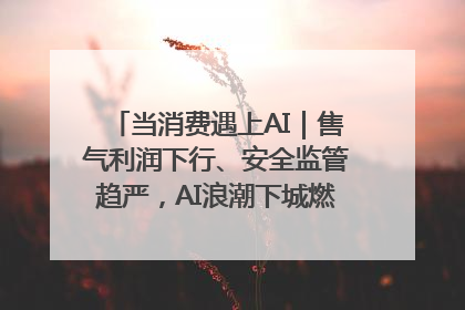 当消费遇上AI｜售气利润下行、安全监管趋严，AI浪潮下城燃企业如何破局