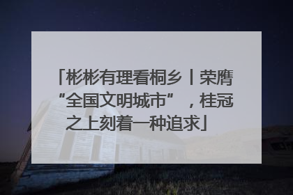 彬彬有理看桐乡丨荣膺“全国文明城市”，桂冠之上刻着一种追求