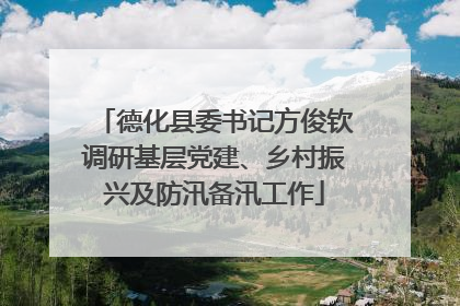 德化县委书记方俊钦调研基层党建、乡村振兴及防汛备汛工作