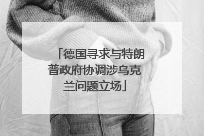 德国寻求与特朗普政府协调涉乌克兰问题立场