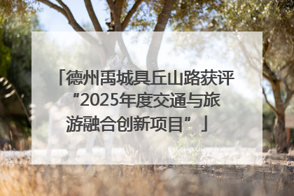 德州禹城具丘山路获评“2025年度交通与旅游融合创新项目”