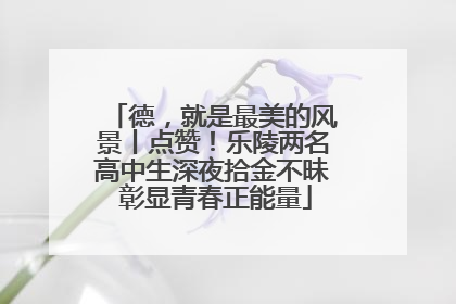 德，就是最美的风景丨点赞！乐陵两名高中生深夜拾金不昧 彰显青春正能量