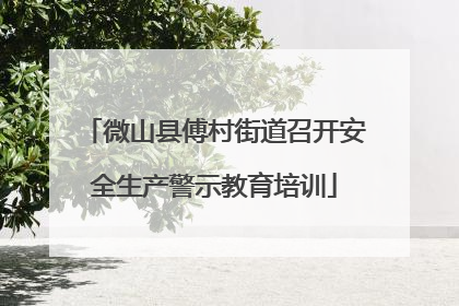 微山县傅村街道召开安全生产警示教育培训