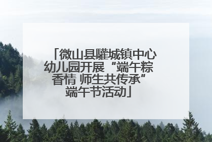 微山县驩城镇中心幼儿园开展“端午粽香情 师生共传承”端午节活动