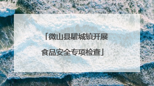 微山县驩城镇开展食品安全专项检查