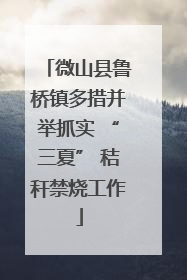 微山县鲁桥镇多措并举抓实 “三夏” 秸秆禁烧工作