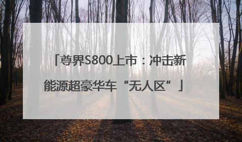 尊界S800上市：冲击新能源超豪华车“无人区”