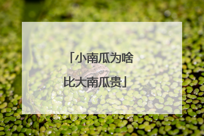 小南瓜为啥比大南瓜贵