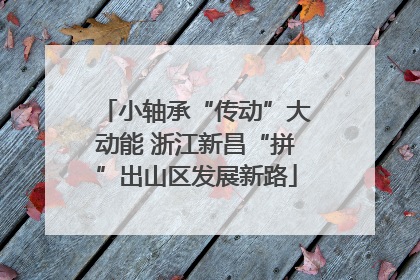 小轴承“传动”大动能 浙江新昌“拼”出山区发展新路