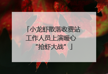 小龙虾散落收费站 工作人员上演暖心“抢虾大战”