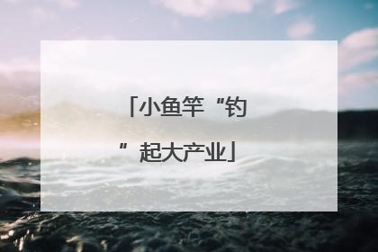 小鱼竿“钓”起大产业