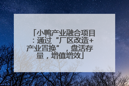 小鸭产业融合项目：通过“厂区改造+产业置换”，盘活存量，增值增效