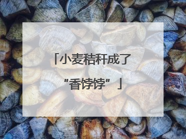 小麦秸秆成了“香饽饽”
