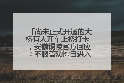 尚未正式开通的大桥有人开车上桥打卡，安徽铜陵官方回应：不服管劝擅自进入，已采取措施