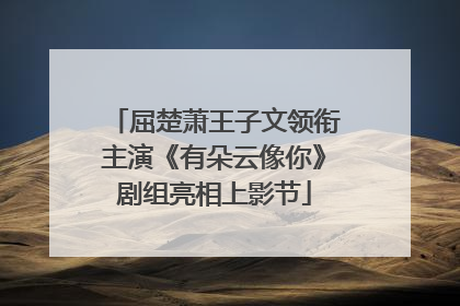 屈楚萧王子文领衔主演《有朵云像你》剧组亮相上影节