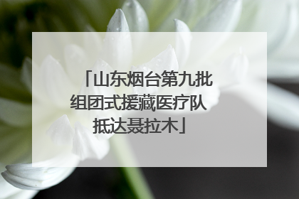 山东烟台第九批组团式援藏医疗队抵达聂拉木