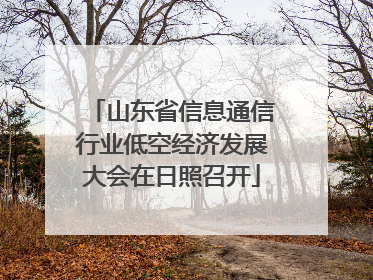 山东省信息通信行业低空经济发展大会在日照召开