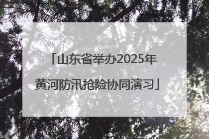 山东省举办2025年黄河防汛抢险协同演习