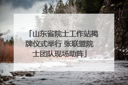 山东省院士工作站揭牌仪式举行 张联盟院士团队现场助阵