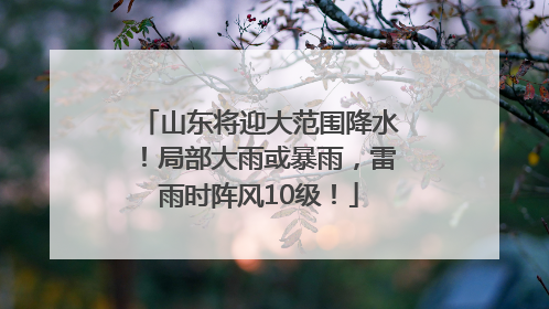 山东将迎大范围降水！局部大雨或暴雨，雷雨时阵风10级！