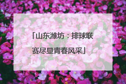山东潍坊：排球联赛尽显青春风采