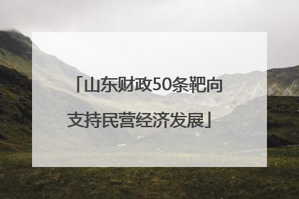 山东财政50条靶向支持民营经济发展