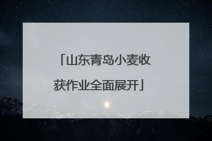 山东青岛小麦收获作业全面展开