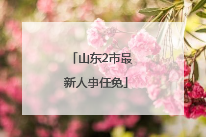 山东2市最新人事任免