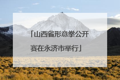 山西省形意拳公开赛在永济市举行