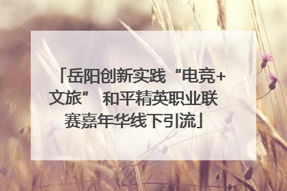岳阳创新实践“电竞+文旅” 和平精英职业联赛嘉年华线下引流