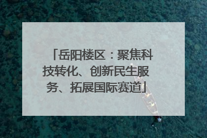 岳阳楼区：聚焦科技转化、创新民生服务、拓展国际赛道