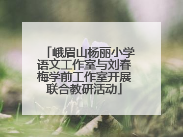 峨眉山杨丽小学语文工作室与刘春梅学前工作室开展联合教研活动